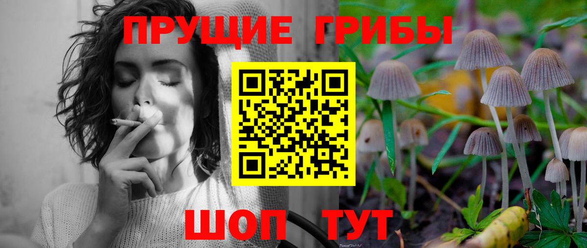 Галлюциногенные грибы Psilocybine cubensis  Вход с VPN  Семёнов 